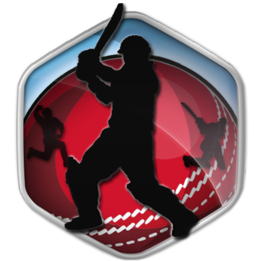 Box Cricket International